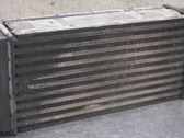 Starpdzesētāja radiators