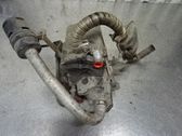 Calentador de combustible