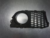 Front fog light trim/grill