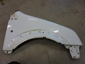 Fender