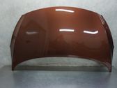 Engine bonnet/hood