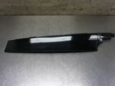 Front door trim (molding)