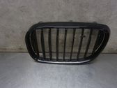 Front bumper lower grill