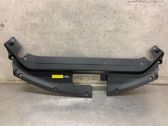 Engine bonnet/hood lock trim molding
