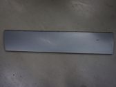 Front door trim (molding)
