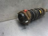 Stoßdämpfer hinten