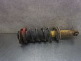 Stoßdämpfer hinten