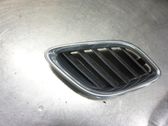Front bumper lower grill
