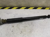 Rear shock absorber/damper