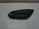 Front fog light trim/grill