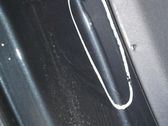 Rear door