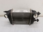 Intercooler radiator