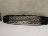 Front bumper lower grill