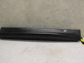 Front door trim (molding)