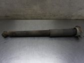 Rear shock absorber/damper