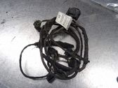 Other wiring loom