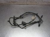Other wiring loom