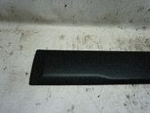 Listón embellecedor de la puerta delantera (moldura)