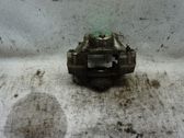 Bremssattel hinten