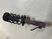 Front shock absorber/damper