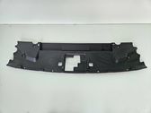Engine bonnet/hood lock trim molding