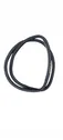 Loading door rubber seal (on body)