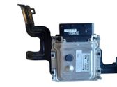 Engine control unit/module ECU