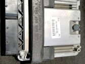 Engine control unit/module ECU