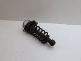 Rear shock absorber with coil spring