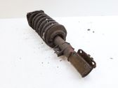 Front shock absorber with coil spring