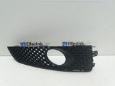Front fog light trim/grill