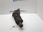 Rear shock absorber with coil spring