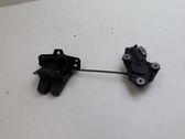 Tailgate/trunk/boot lock/catch/latch