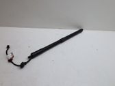 Tailgate/trunk strut/damper