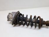 Rear shock absorber with coil spring