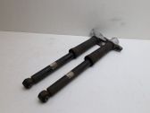 Set of springs and shock absorbers (Front and rear)