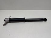 Rear shock absorber/damper