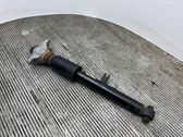 Rear shock absorber/damper