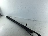 Tailgate/trunk strut/damper