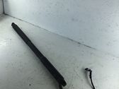 Tailgate/trunk strut/damper