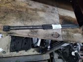 Tailgate/trunk strut/damper