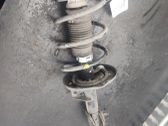 Front shock absorber with coil spring