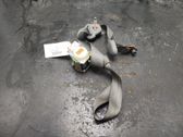 Sicherheitsgurt hinten