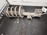 Front shock absorber with coil spring