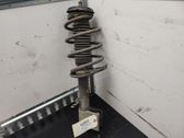 Front shock absorber with coil spring