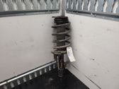 Front shock absorber with coil spring