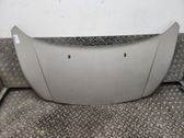 Engine bonnet/hood