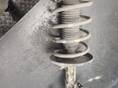 Front shock absorber with coil spring