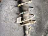 Front shock absorber with coil spring