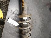 Front shock absorber with coil spring